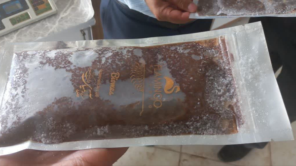 راه‌اندازی نخستین مزرعه پرورش آرتمیا در آذربایجان شرقی