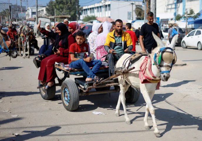 اسرائیل کا 'وائٹ سیور کمپلیکس' اور غزہ سے گدھوں کی چوری!
