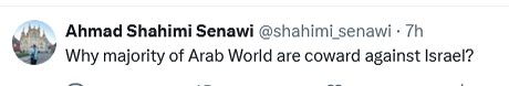 دنیا کی جانب سے عرب رہنماؤں کو انتباہ: امریکہ اور اسرائیل قابل اعتماد نہیں ہیں! + تصاویر