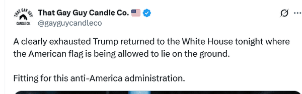 گرے ہوئے امریکی جھنڈے کے ساتھ ٹرمپ کی لی گئی تصویر؛ صارفین نے اڑے ہاتھوں لیا + دلچسپ تصاویر