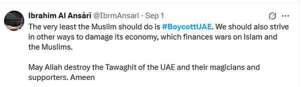 غزہ اور سوڈان میں منفی کردار؛ عالمی مہم 'بائیکاٹ یو اے ای' کا آغاز + ویڈیو