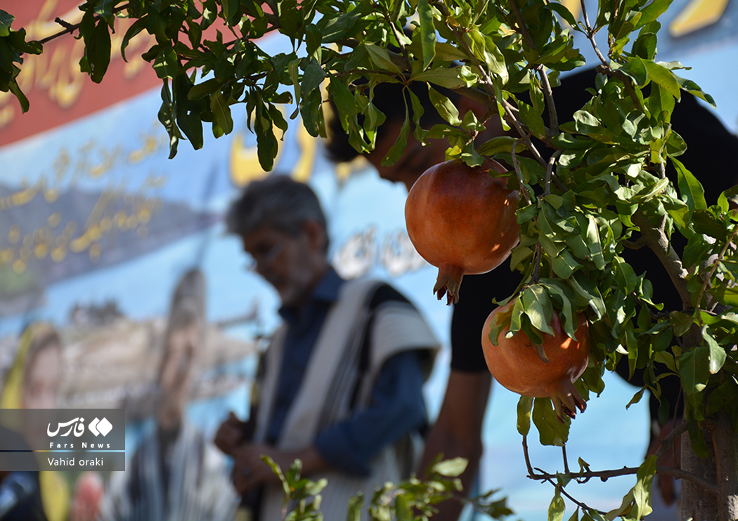 عکاس: وحید اورکی | گزارش تصویری برگزاری سومین جشنواره انار دزپارت
