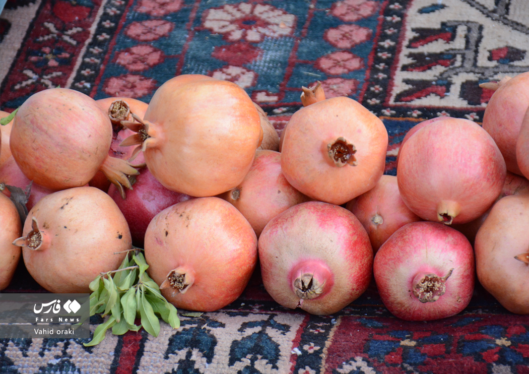 وحید اورکی | گزارش تصویری برگزاری سومین جشنواره انار دزپارت