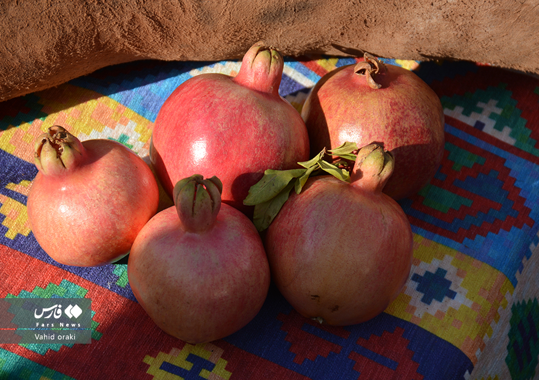 عکاس: وحید اورکی | گزارش تصویری برگزاری سومین جشنواره انار دزپارت