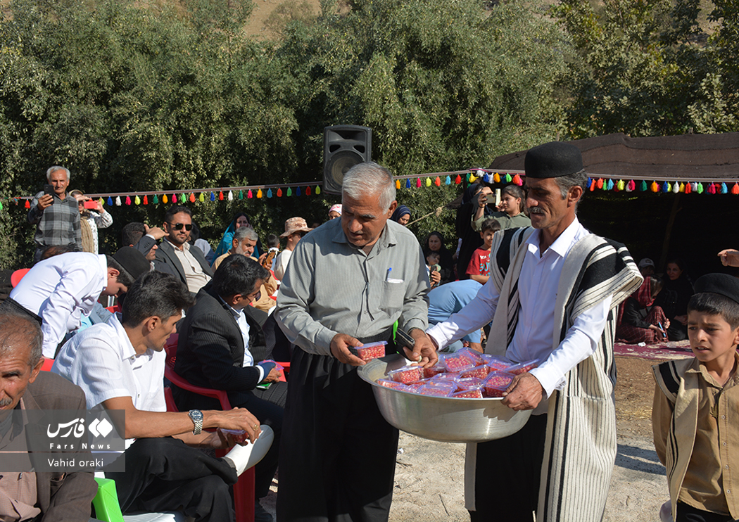 عکاس: وحید اورکی | گزارش تصویری برگزاری سومین جشنواره انار دزپارت