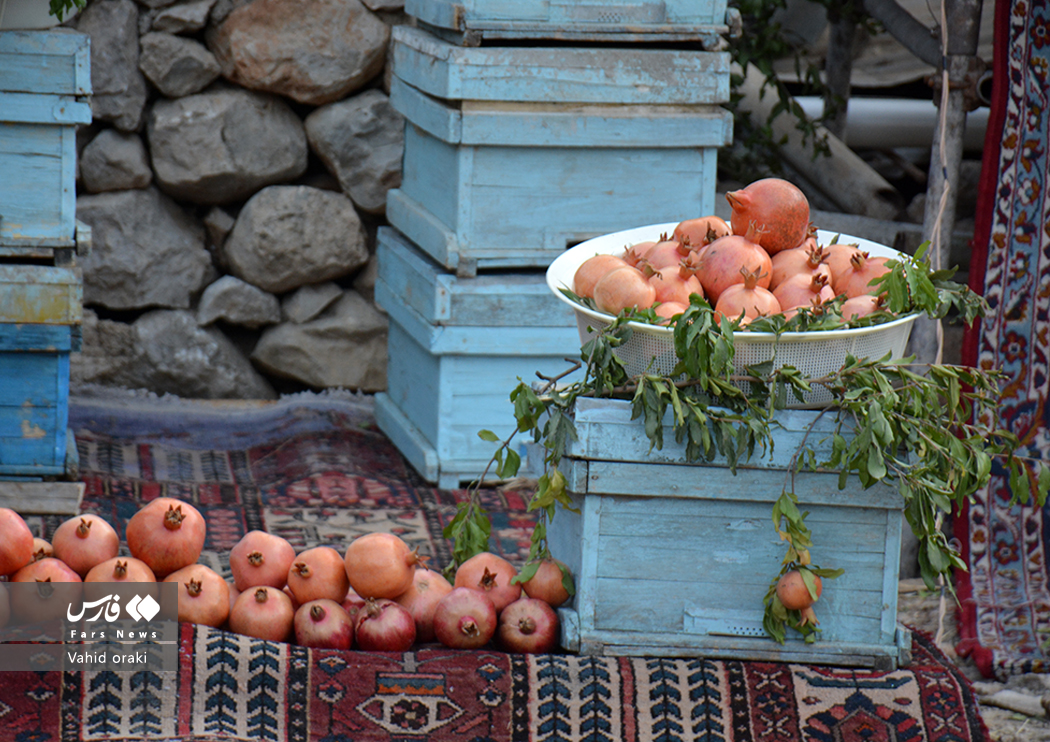 عکاس: وحید اورکی | گزارش تصویری برگزاری سومین جشنواره انار دزپارت