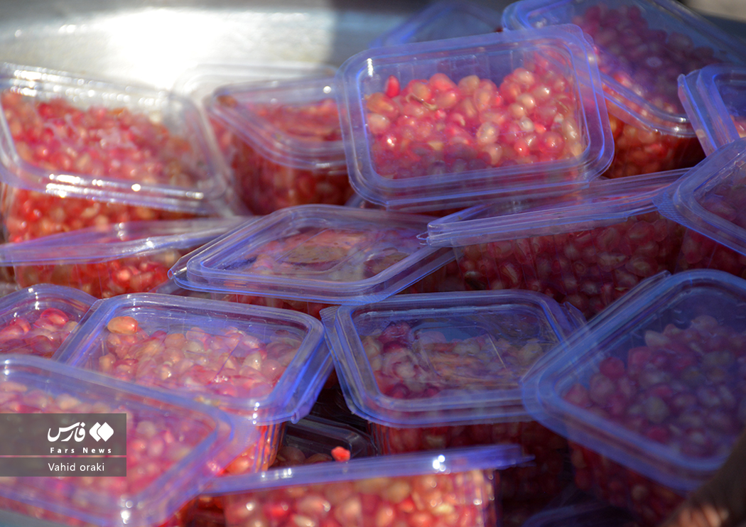 عکاس: وحید اورکی | گزارش تصویری برگزاری سومین جشنواره انار دزپارت