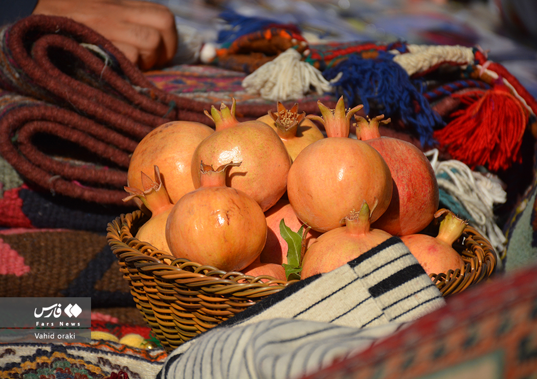 عکاس: وحید اورکی | گزارش تصویری برگزاری سومین جشنواره انار دزپارت