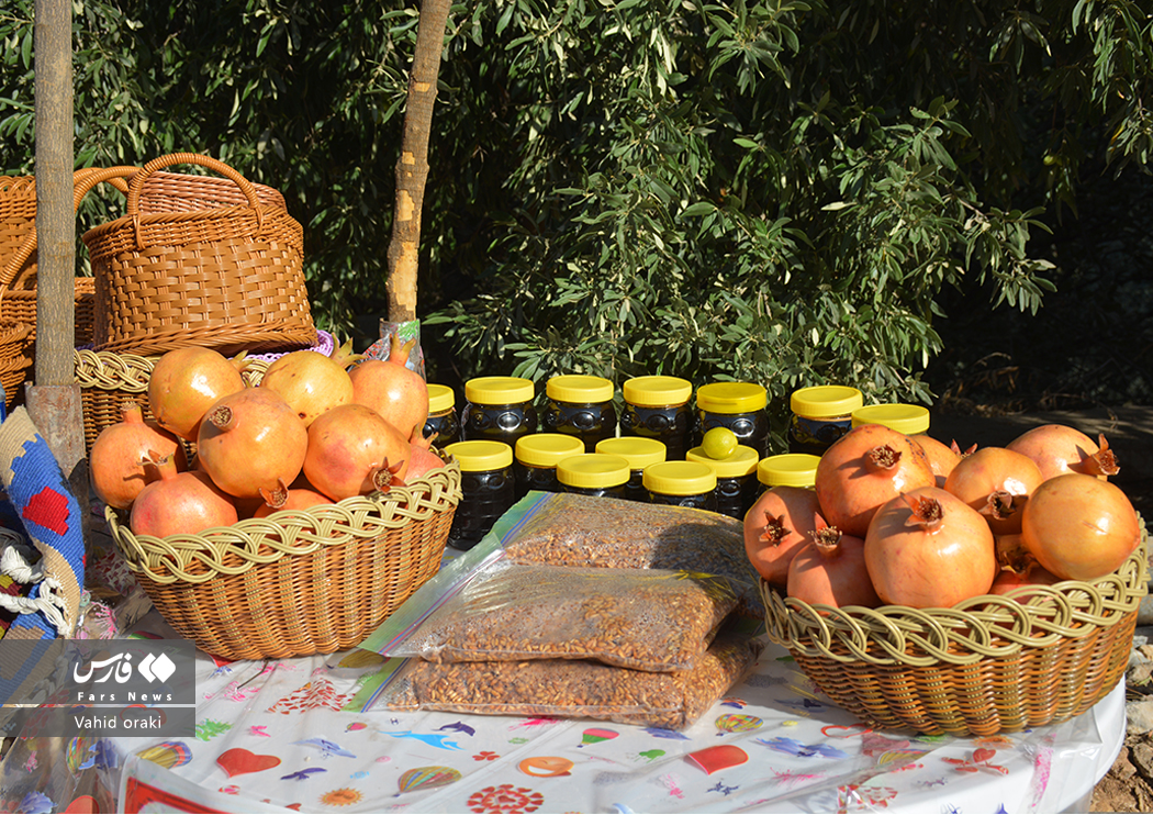 عکاس: وحید اورکی | گزارش تصویری برگزاری سومین جشنواره انار دزپارت