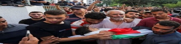 غزه