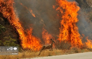 کالیفرنیای آمریکا در آتش 