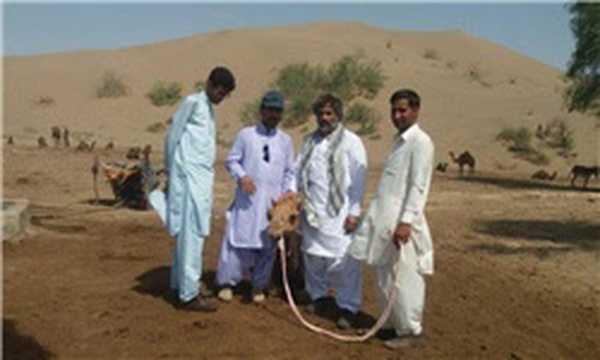 دستم را بگیر