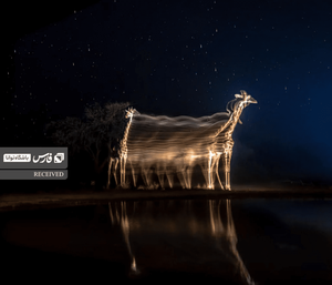 برگزیده بخش حرکت