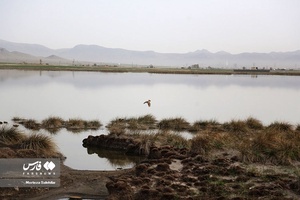 زندگیِ دوباره «دِهنو»