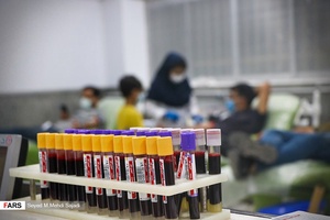 نذر خون شب ۲۳ رمضان در بوشهر