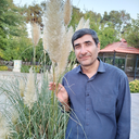تصویر نمایه‌ی ‌اصغر محمدی رابع‌
