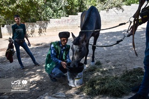 کاروان اسب‌داران حرم‌ تا حرم خراسان‌شمالی به سوی آستان رضوی رهسپار شدند