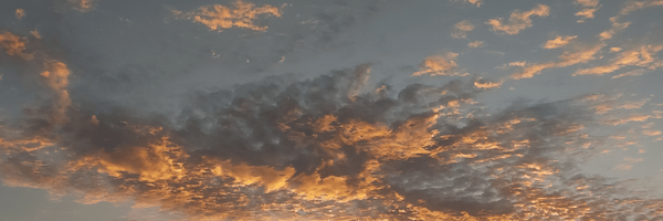 تصویر سربرگ نمایه‌ی ‌Gh256789‌