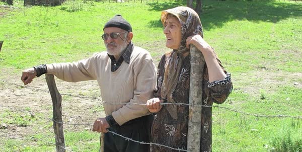 سالمند