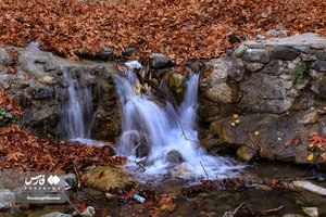 پاییزِ البرز