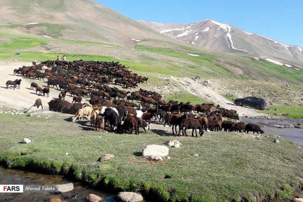 دامنه کوه سهند