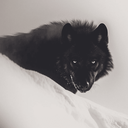 تصویر نمایه‌ی ‌mi‌