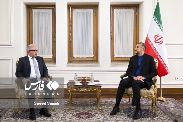 دیدار معاون وزیر خارجه ارمنستان با امیرعبداللهیان