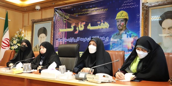 بانوان  نمونه عرصه کار و تولید استان تهران 