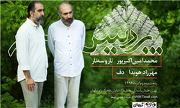 محمدی