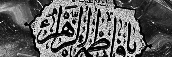 تصویر سربرگ نمایه‌ی ‌فاطمه قاسمی‌
