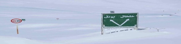 بیب