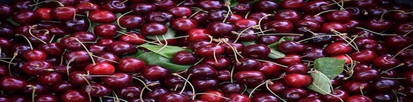 میوه