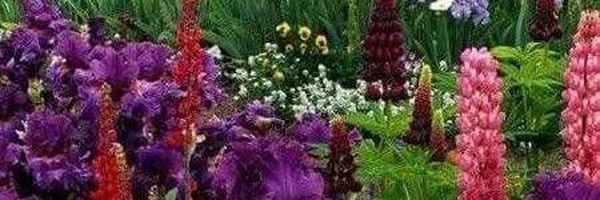 تصویر سربرگ نمایه‌ی ‌علی اصفهانی‌