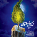 تصویر نمایه‌ی ‌احمد رضا ایرانی‌