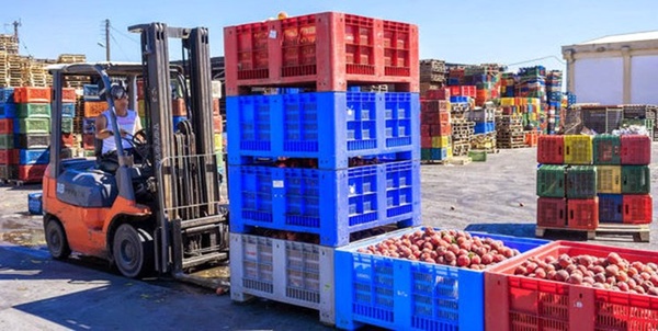 صادرات محصولات کشاورزی