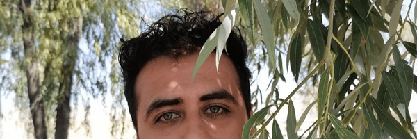 تصویر سربرگ نمایه‌ی ‌حافظ صفوی‌