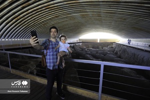  «هگمتانه» در آستانه ثبت جهانی