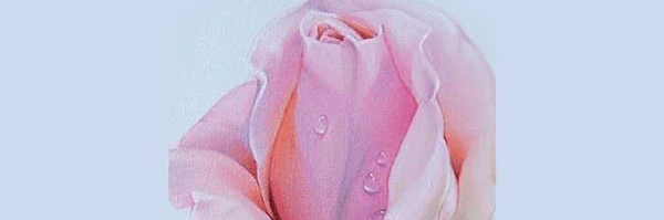 تصویر سربرگ نمایه‌ی ‌طلبه اسلامی‌