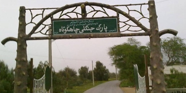 پارک جنگلی