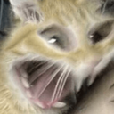 تصویر نمایه‌ی ‌خواهر حسین کاظمی‌