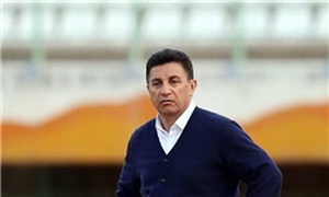 امیر قلعه نویی، قلعه نویی
