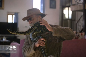 حیوانات «خانه نوری»