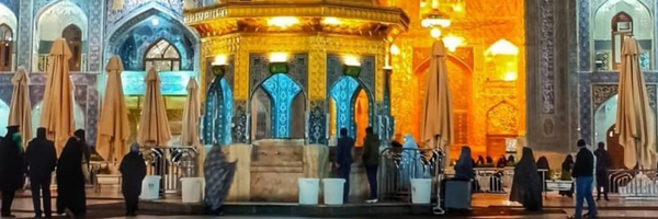 تصویر سربرگ نمایه‌ی ‌سجاد رضایی‌