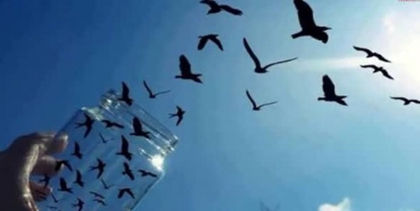 آزادی زندانیان