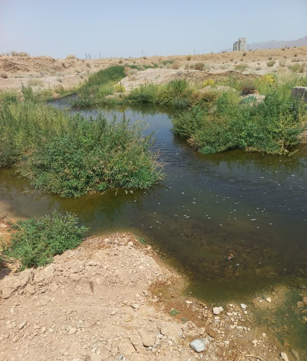 پساب