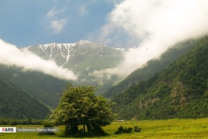 دریاسر دشتی به زیبایی بهشت