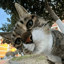 تصویر نمایه‌ی ‌Neg S‌