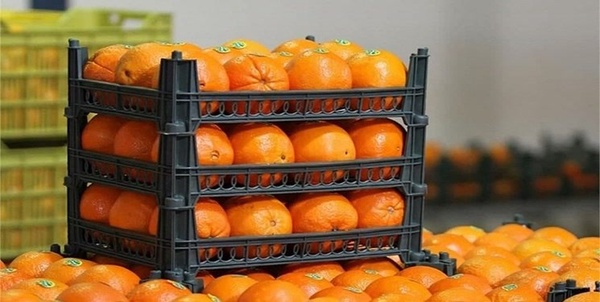 میوه