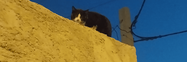 تصویر سربرگ نمایه‌ی ‌𝒎𝒆𝒉𝒓𝒔𝒂‌