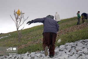 کوه نویسی